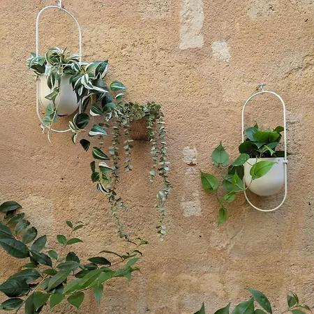 شقة Climatise Avec Terrasse Au Jardin Public *